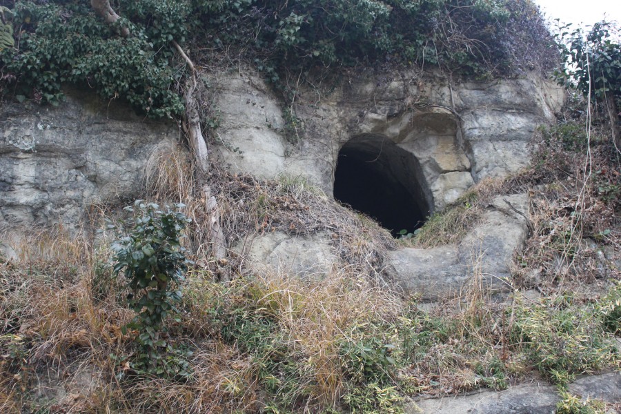 神光寺横穴古坟群