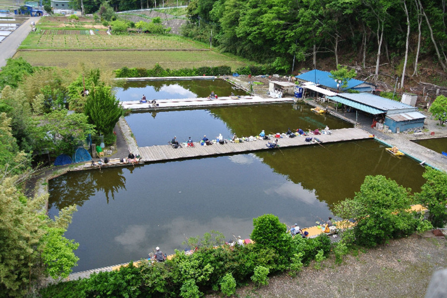 ศูนย์ตกปลาคาร์ฟ Spatula Crucian อะซึตงิ