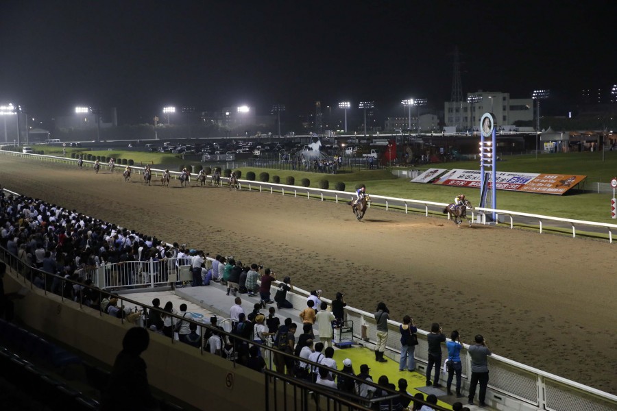 川崎竞马场（观战竞马）