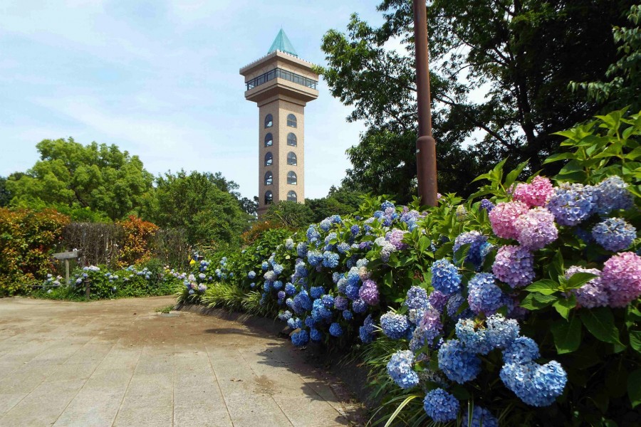 绿色塔Green Tower相模原