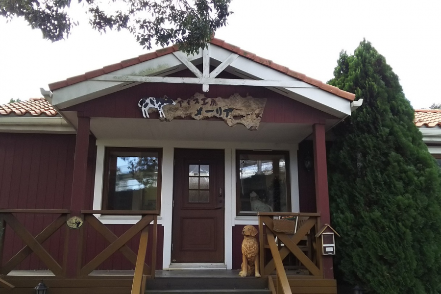 ไอศกรีมสตูดิโอเมอเรีย