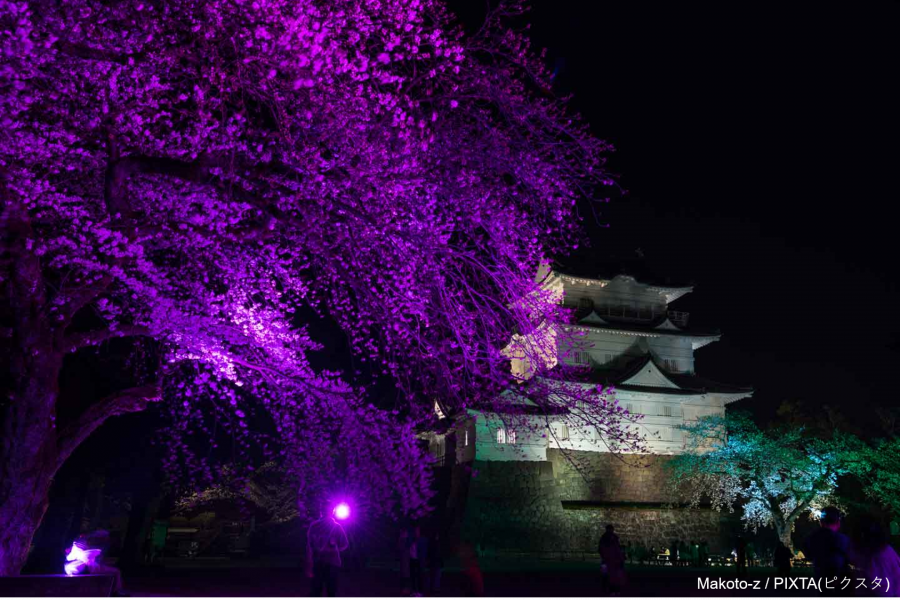 小田原城天守阁