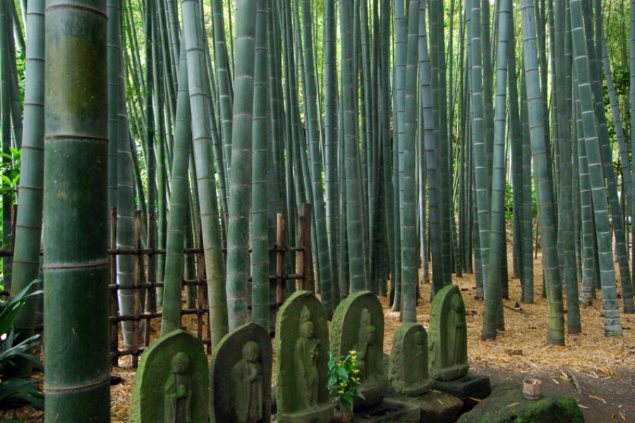 Kanazawa Kaido (tuyến đường đi bộ)