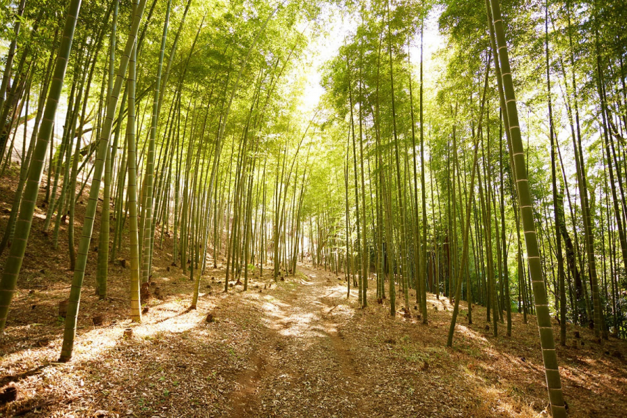 me-byo valley BOITOPIA