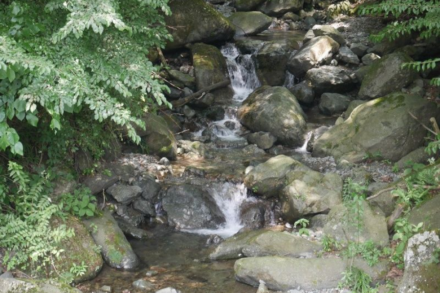 หอสังเกตการณ์ทางธรรมชาติบ้านคุซึฮะ