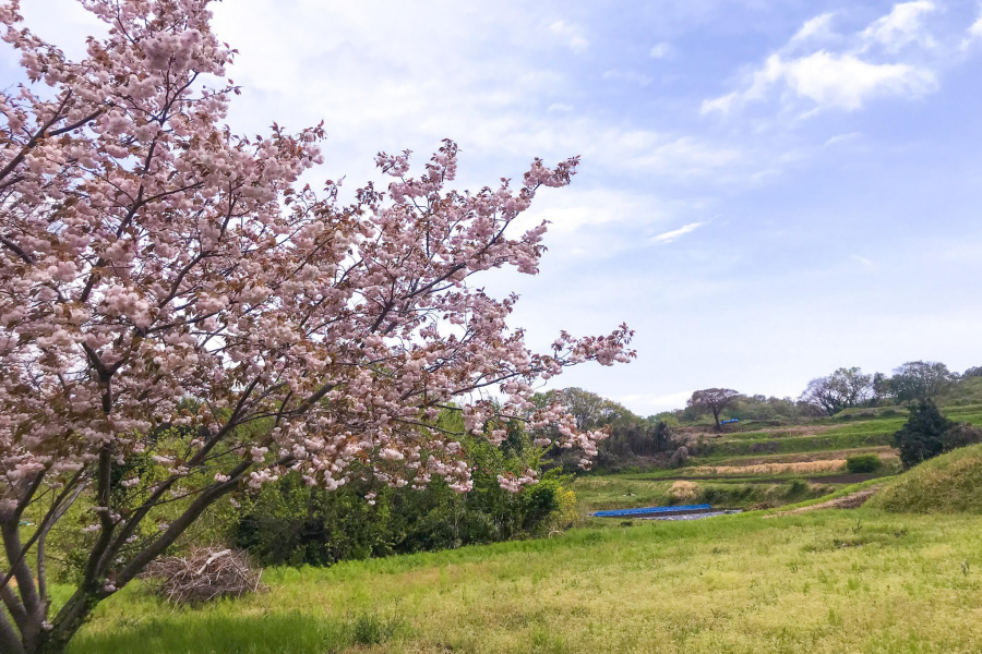 Kisawa Hakkei(Yurugino oka hill)