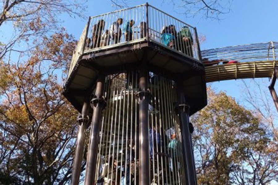 厚木儿童体验森林公园