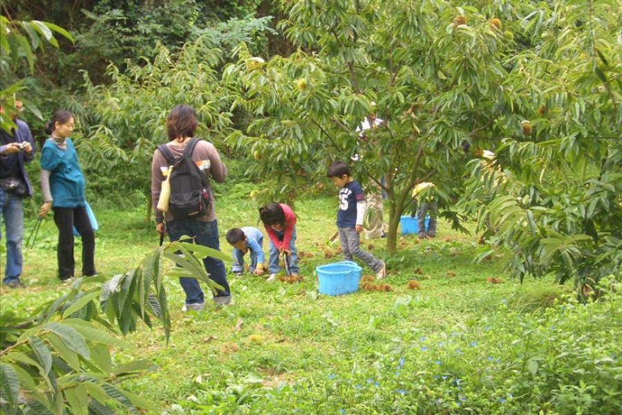 铃木园（摘水果）