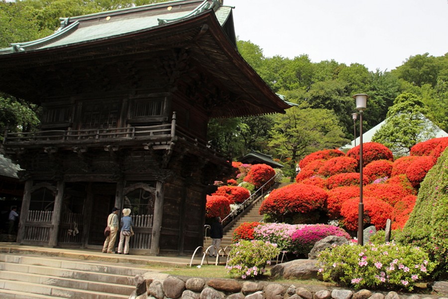 等觉院(杜鹃寺)