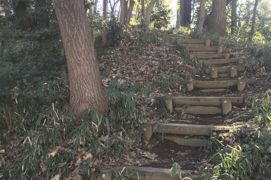 โอคโคะชิยะมะ ฟุเระอะอิ-โนะ-โมริ