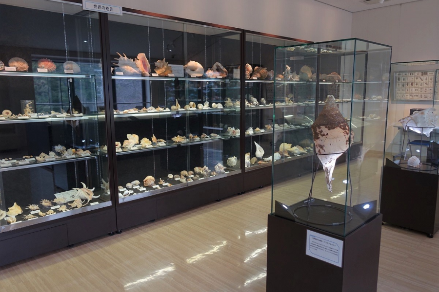 Endo Shell Museum of Manazuru