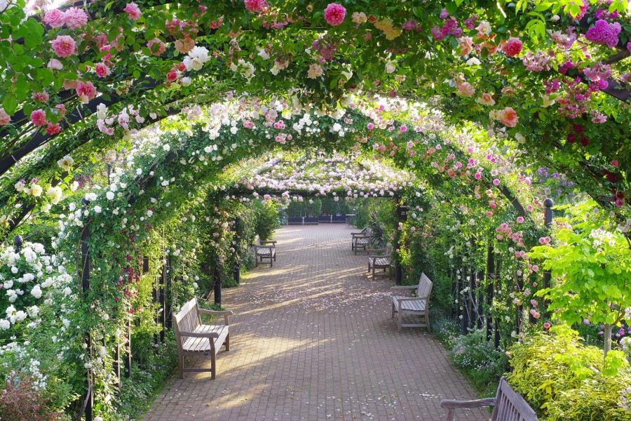 Yokohama English Garden