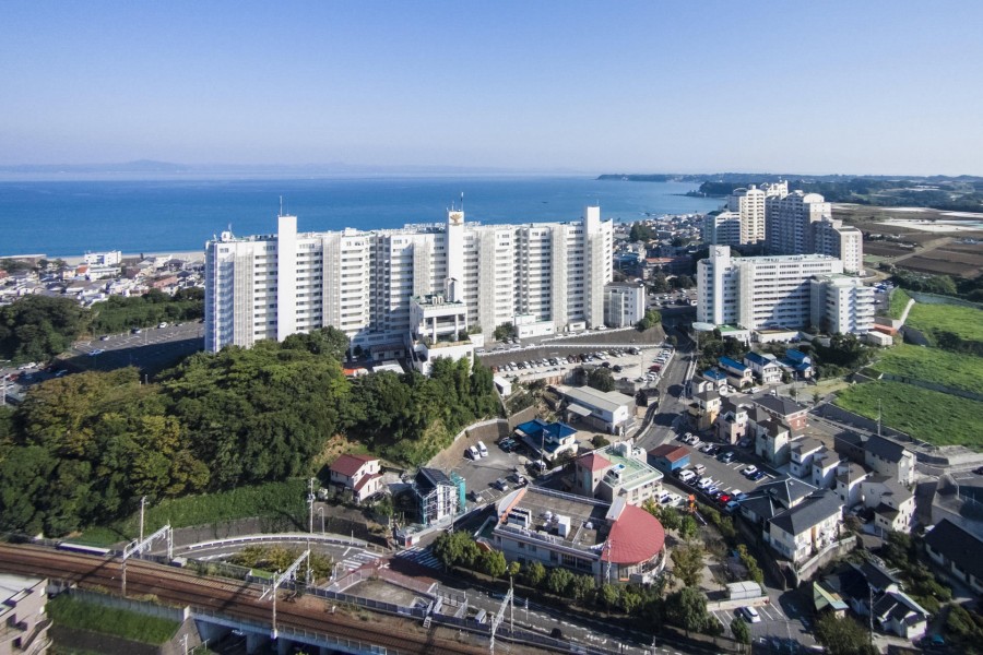 MAHOLOVA MINDS三浦