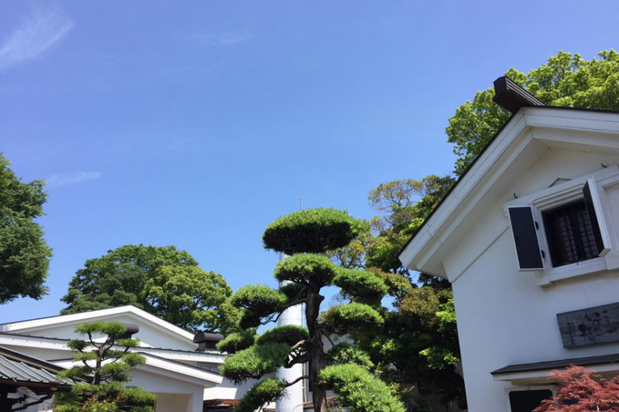 啤酒店“疏雨根”