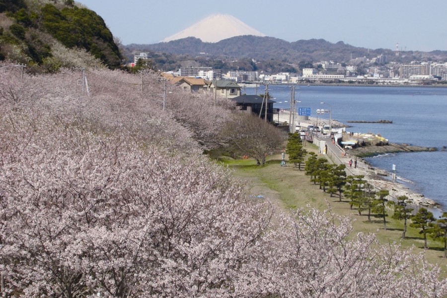 走水水源地公园