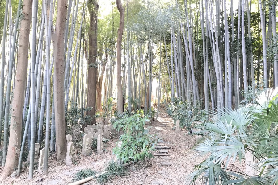 粕谷森现代美术馆