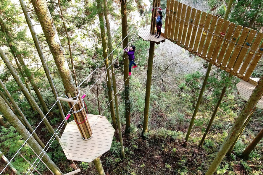 Tree Cross Adventure 厚木・七泽