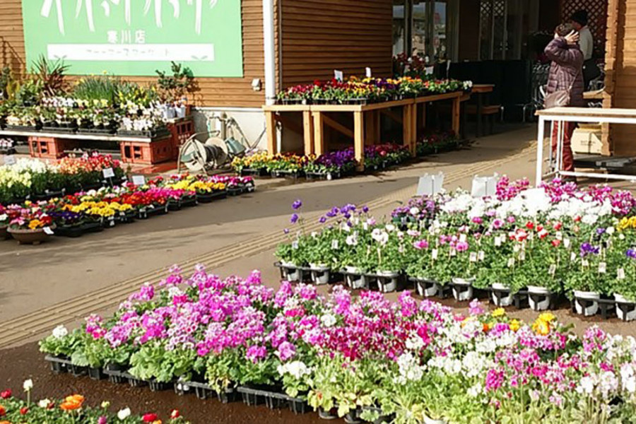 WAIWAI 市场（寒川店）