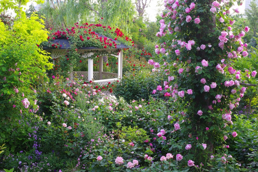 Yokohama English Garden