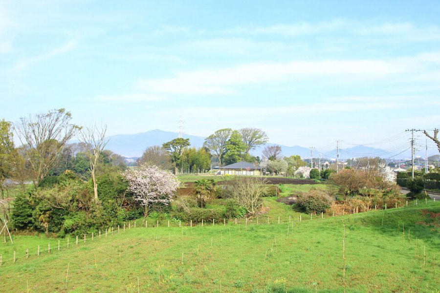 县立茅崎里山公园