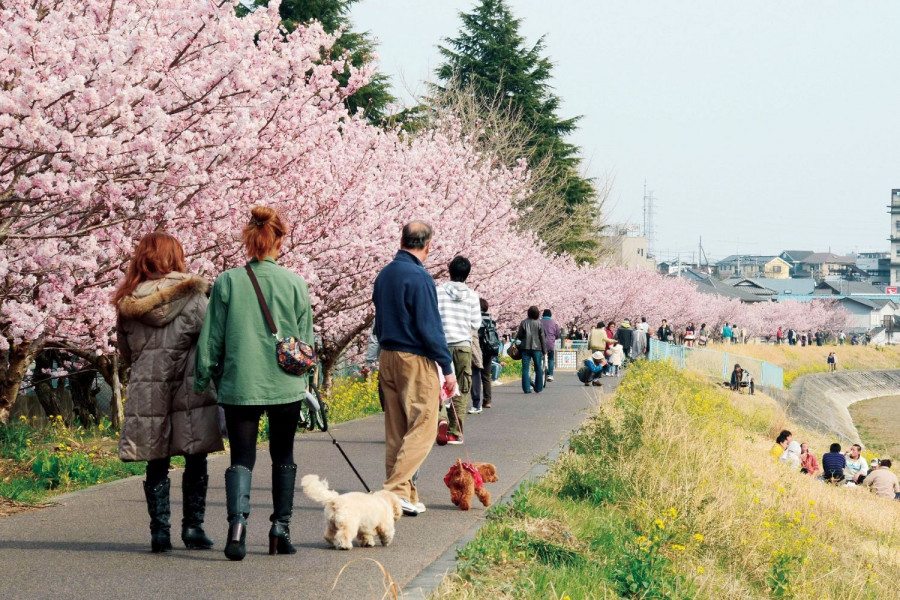 春木径·幸福步道