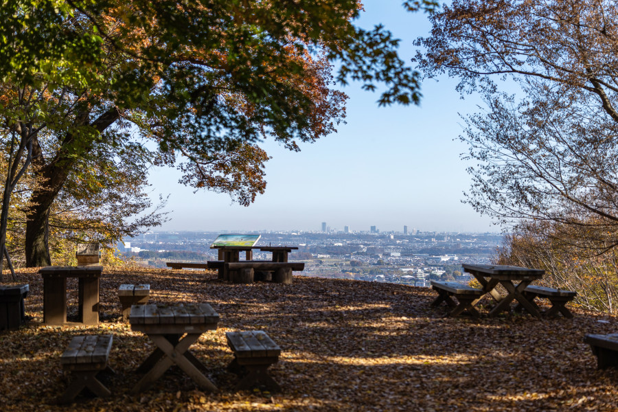 县立七泽森林公园