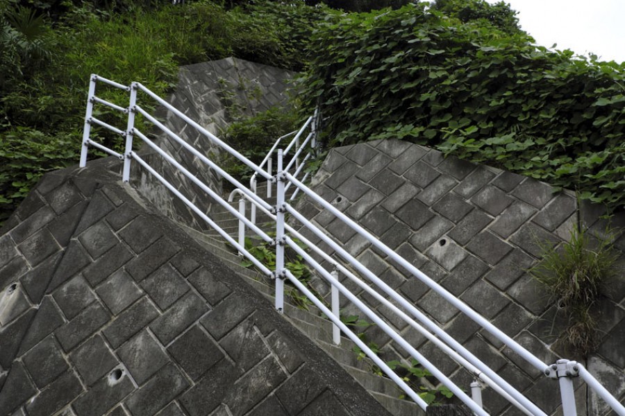 末长熊野森绿地（江户见樱·泰山之木）