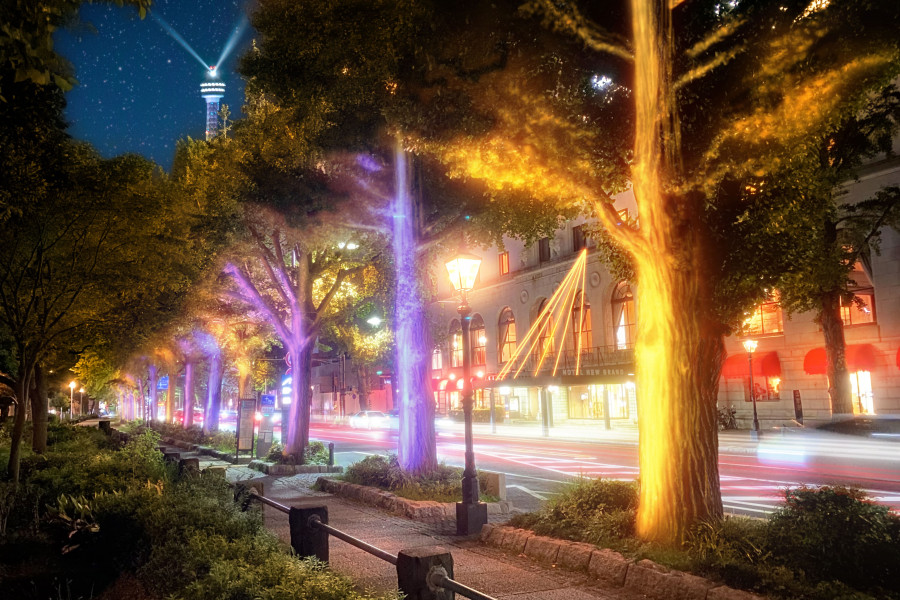 밤의 요코하마 일루미네이션 2024-25