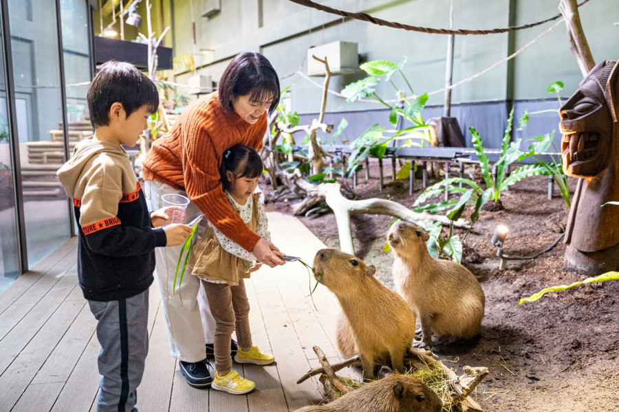 Kawasui 川崎水族馆