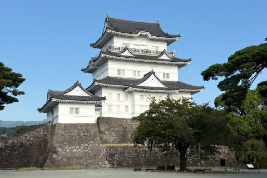 与志愿导览员一起漫步小田原城与城下町