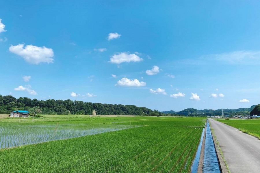 上大岛 中州・叶山岛的田园风光