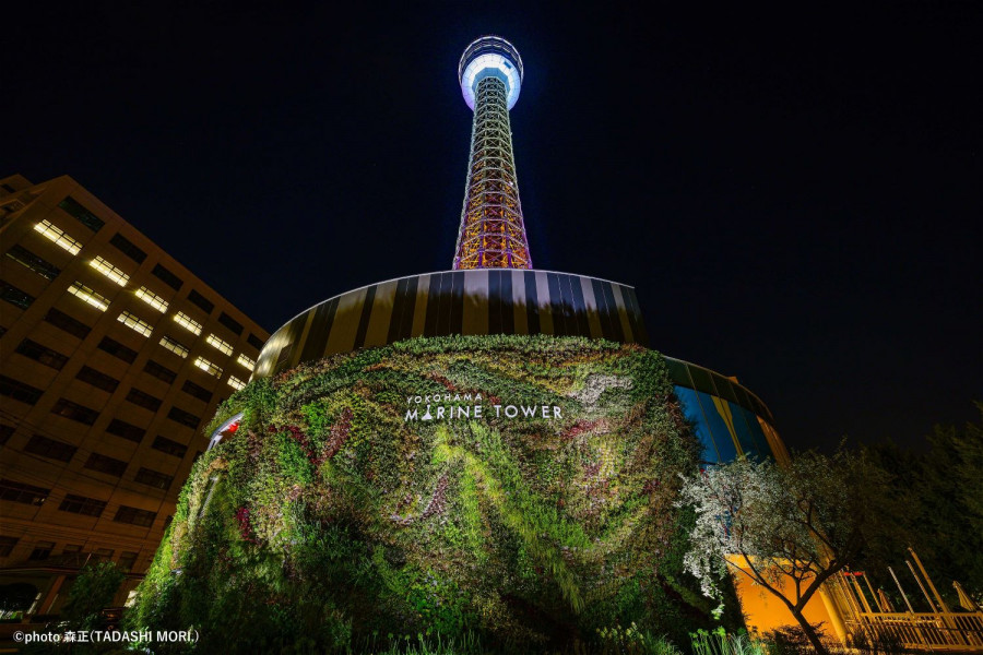 横滨海洋塔