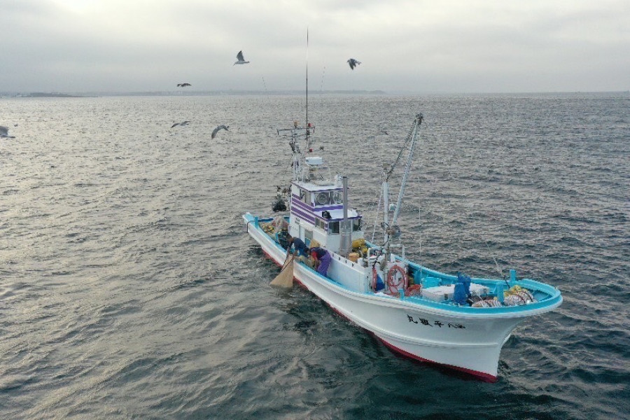 平敏丸 湘南银鱼直营店