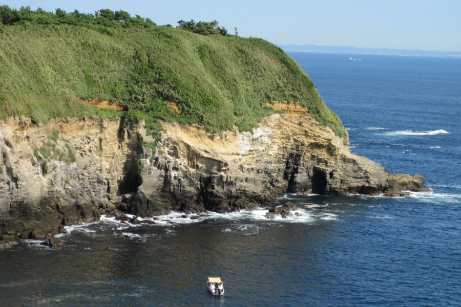 อุมิอุ (นกกาน้ำญี่ปุ่น) หอสังเกตการณ์