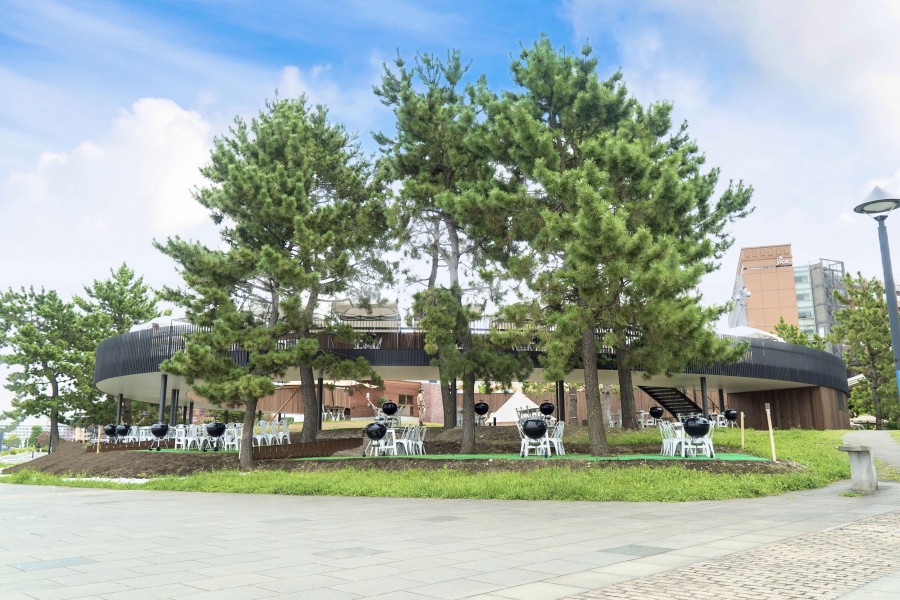 DREAM DOOR YOKOHAMA HAMMERHEAD