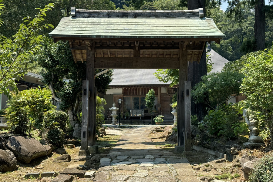 长兴山绍太寺(枝垂樱)