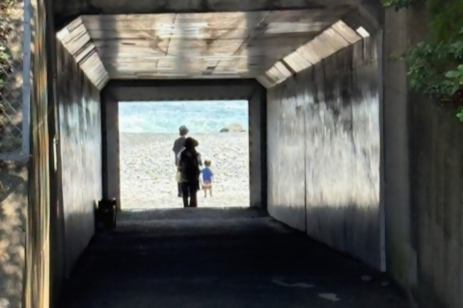 与志愿导览员一起漫步小田原城与城下町