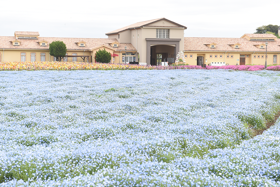 长井海之手公园太阳之丘