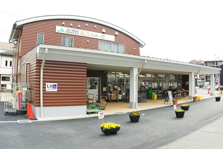 อะฟุรินะ อิเซะฮาระ (ศูนย์จัดจำหน่าย)