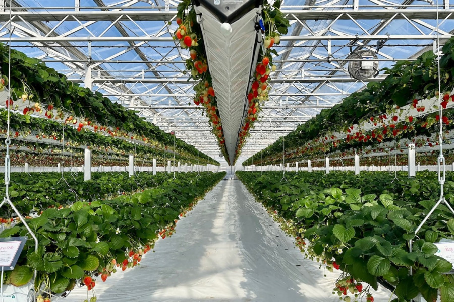 适合家庭的横滨城市冒险之旅