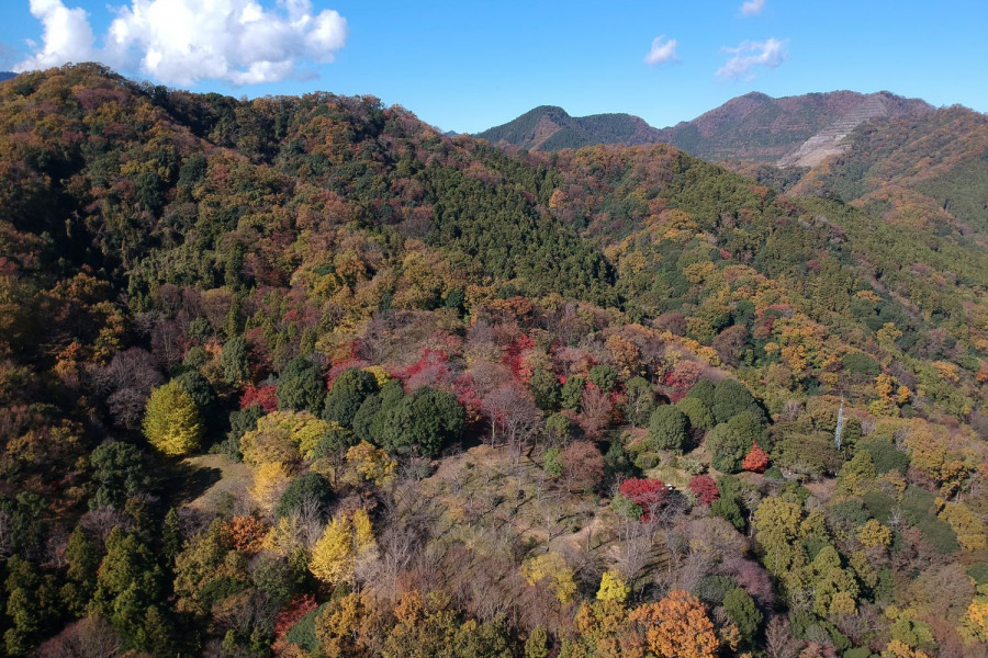 饭山白山森林公园