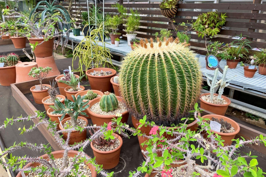 川崎市绿化中心