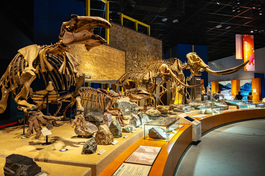 神奈川县生命之星·地球博物馆