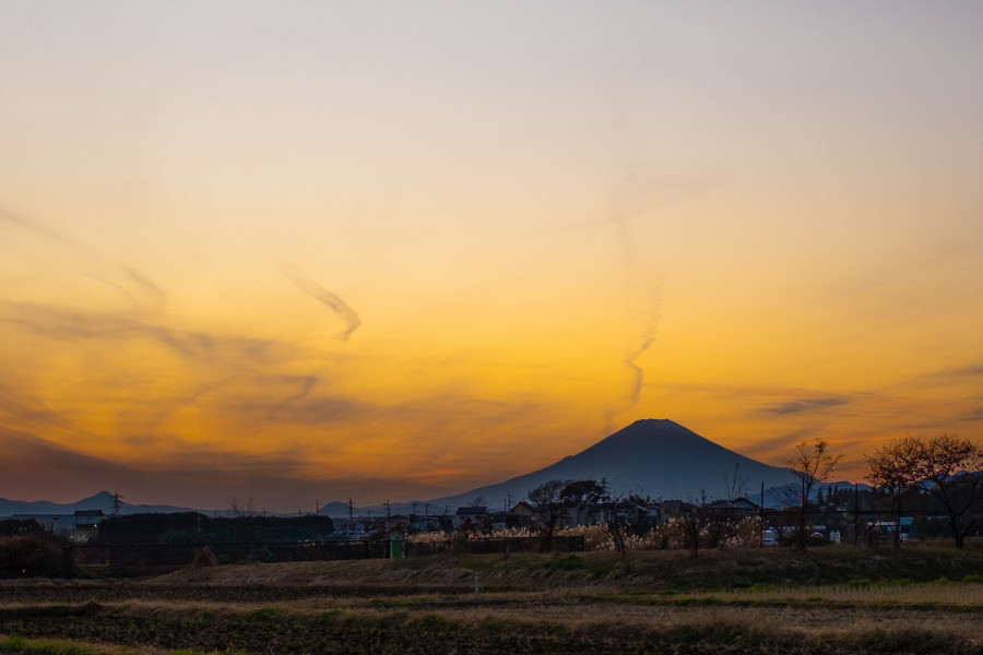 县立茅崎里山公园