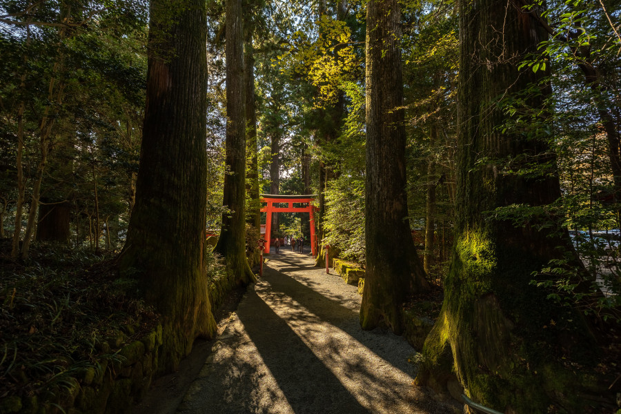 箱根神社·九头龙神社