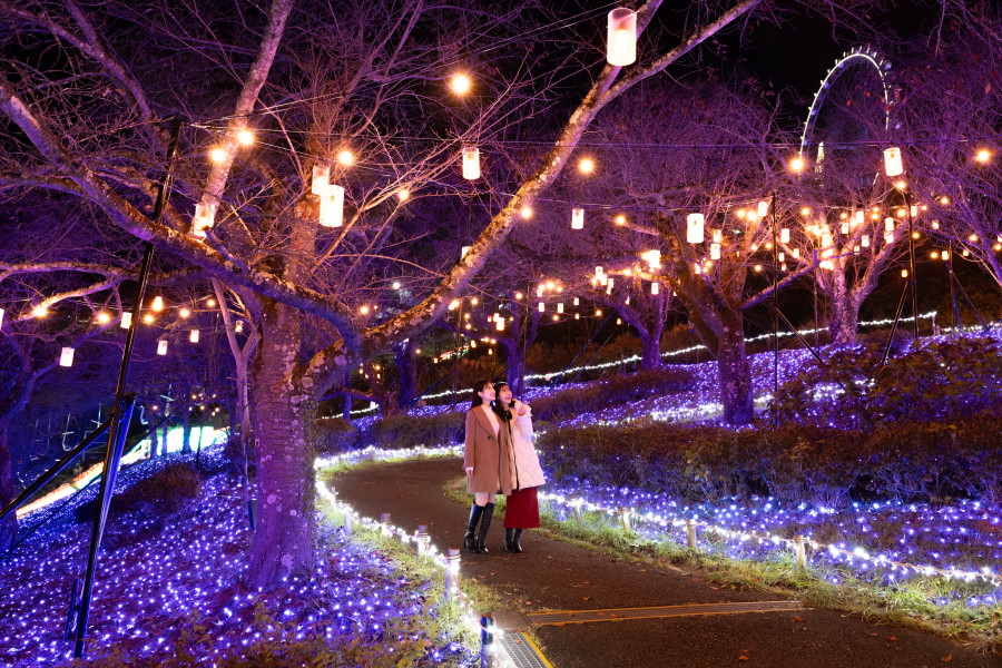 相模湖灯祭