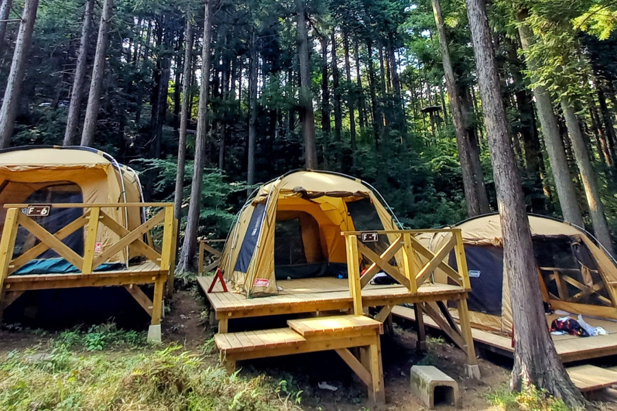 足柄森林公园 丸太之森