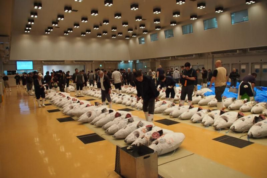 三浦市三崎水产物地方批发市场（三崎港）