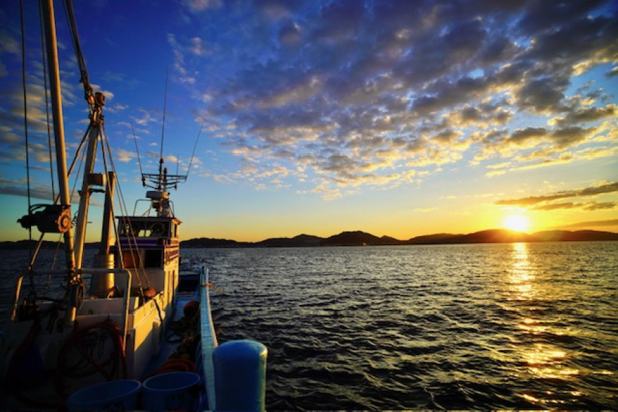 平敏丸 湘南银鱼直营店