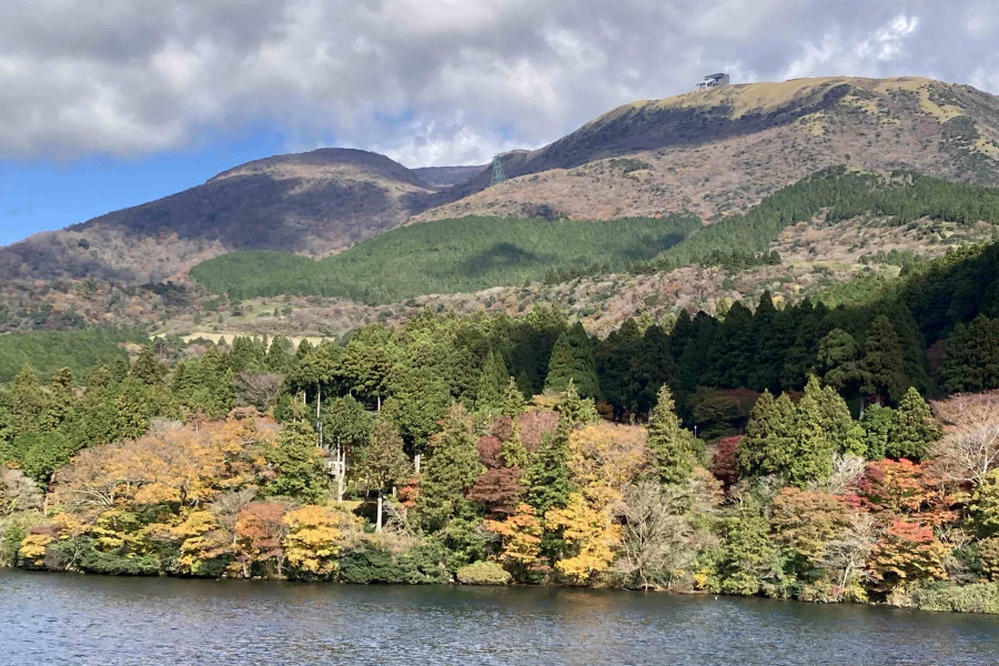 与志愿导览员同行的箱根徒步路线